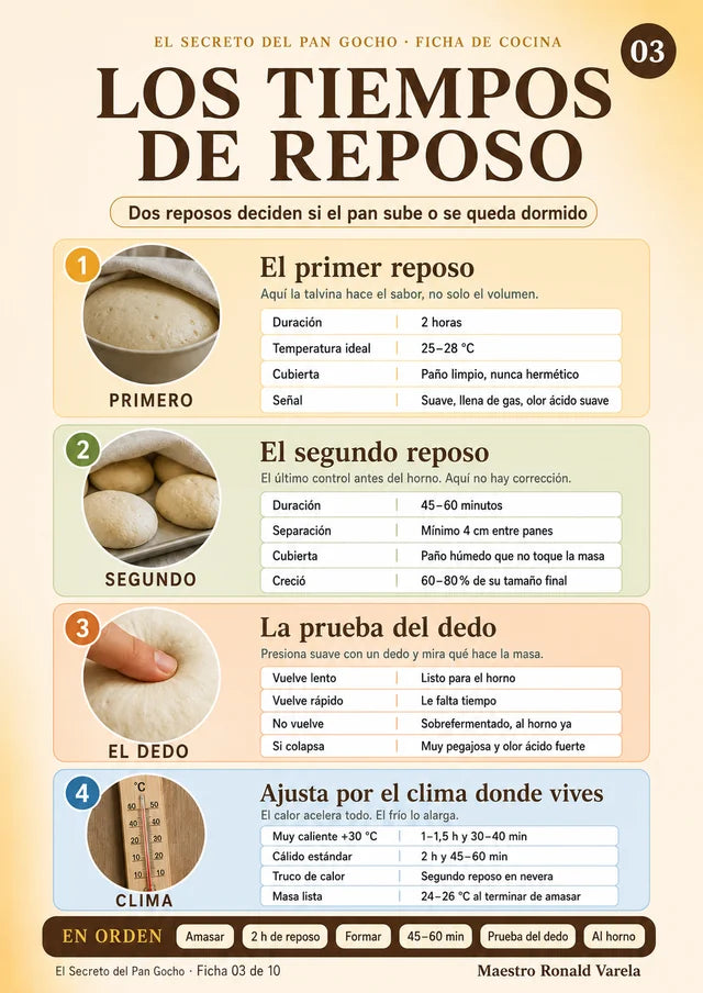Los tiempos de reposo