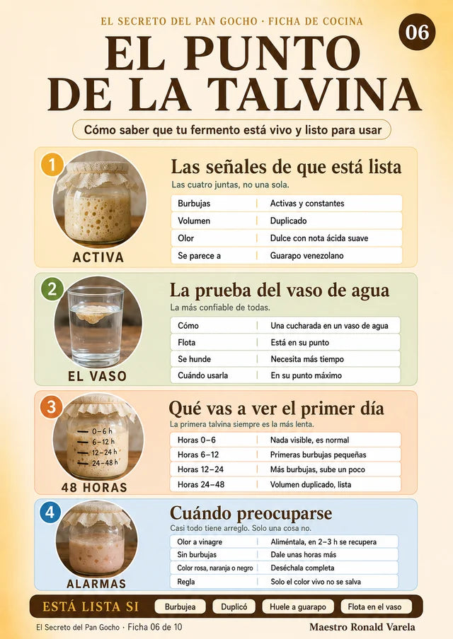 El punto de la talvina