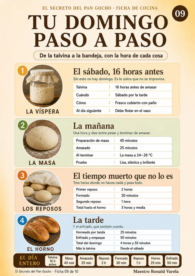 Tu domingo paso a paso